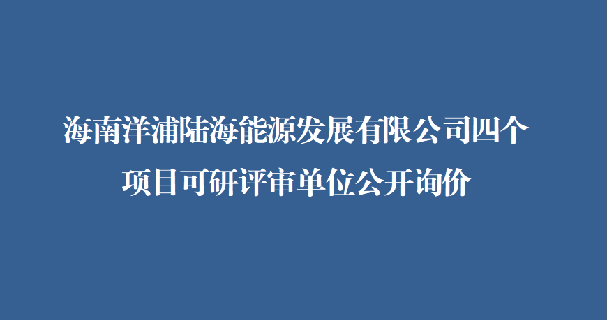 海南洋浦陆海能源发展有限公司四个项目可研评审单位公